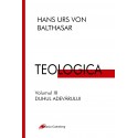 Seria TEOLOGICA  - 3 volume