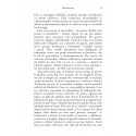 Lumina lui Cristos - O introducere în catolicism 